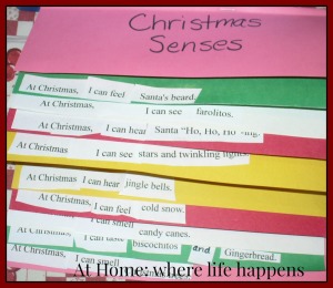 H Christmas Senses