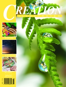 CI Sum15 Cover Pages